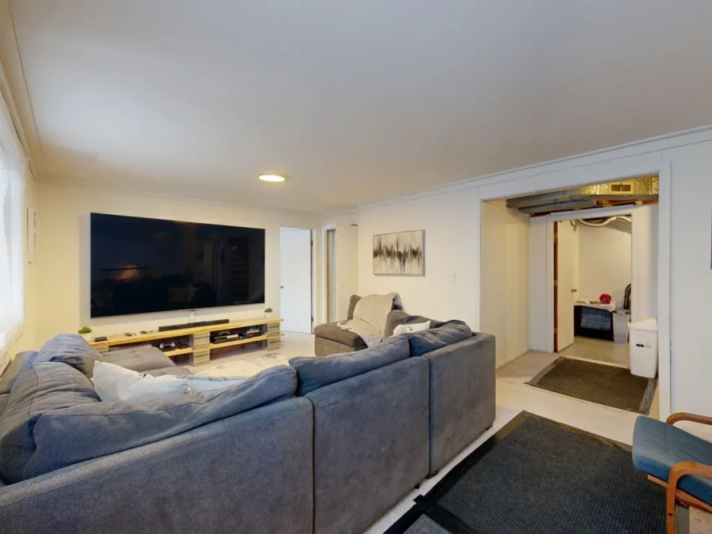 Basement lounge space - Chameleon Property Rehabs